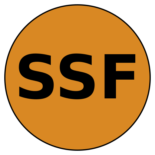 Secure Steps Fitness